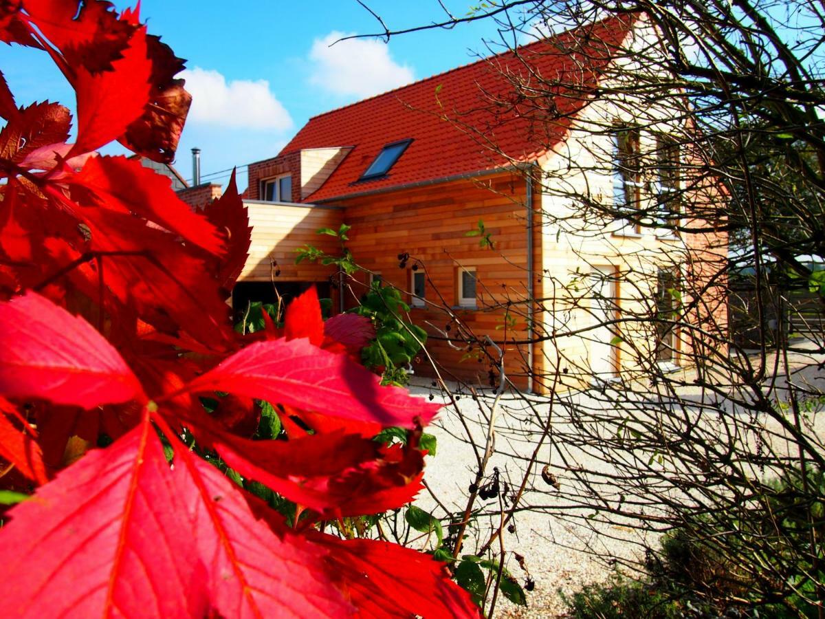 Archipel Holiday Cottage Ellezelles Екстериор снимка